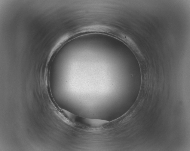 X0000081271180200701181709