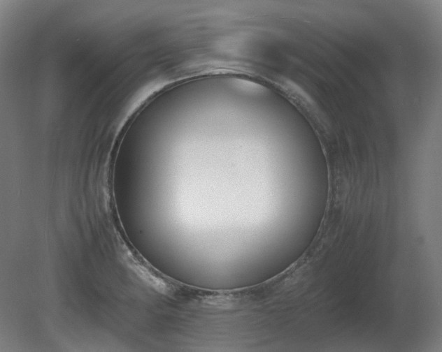X0000081271182200701181709