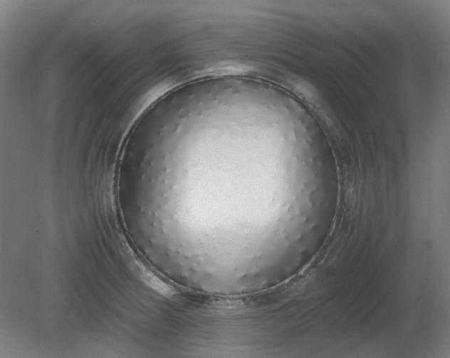 X0000081271186200701181709