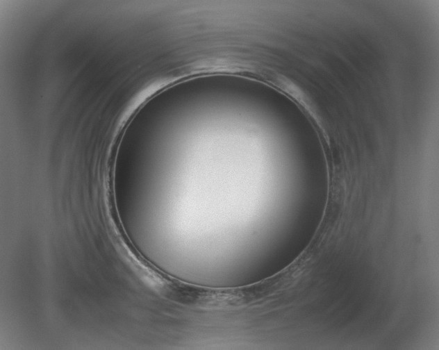 X0000081271187200701181709