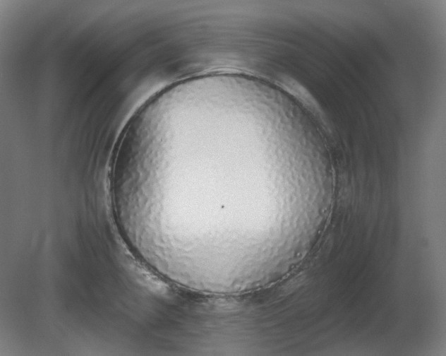 X0000081271190200701181709