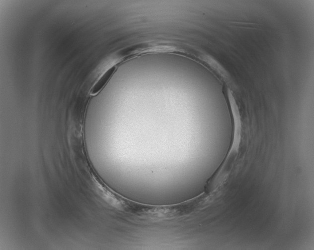 X0000081271193200701181709