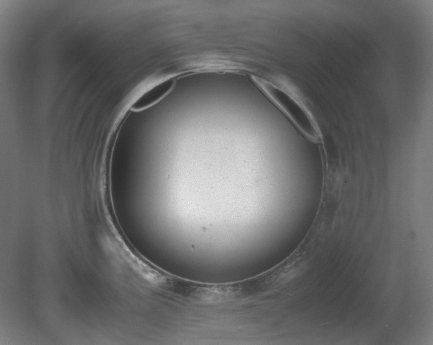 X0000081271195200701181709