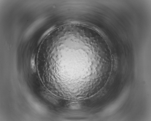 X0000081271198200701181709