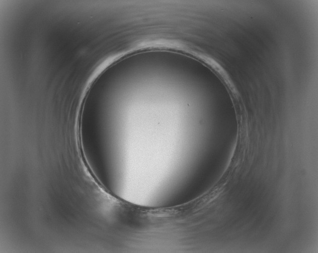 X0000081271199200701181709
