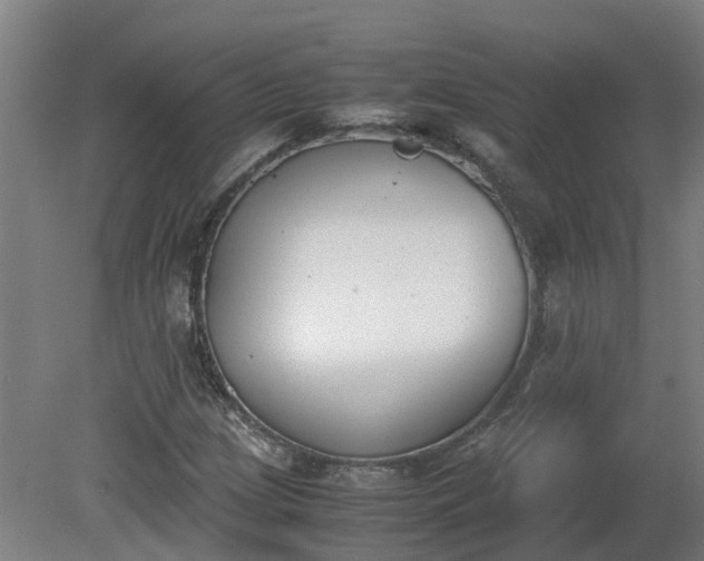 X0000081271209200701181708