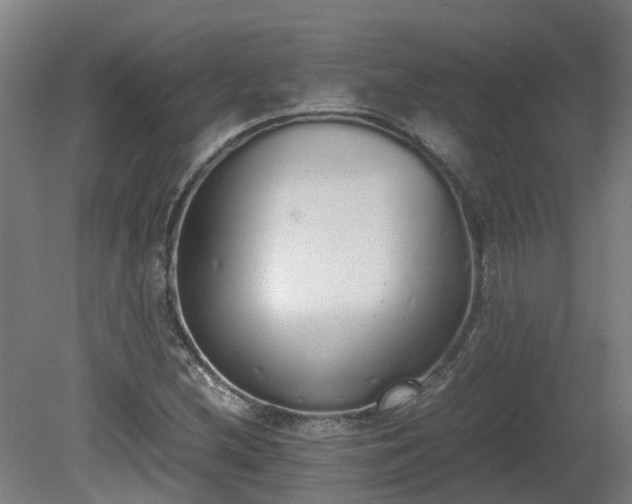X0000081271212200701181708