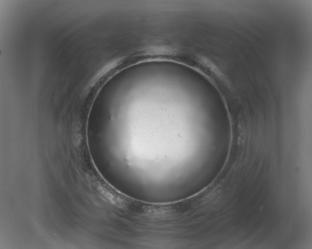 X0000081271213200701181708