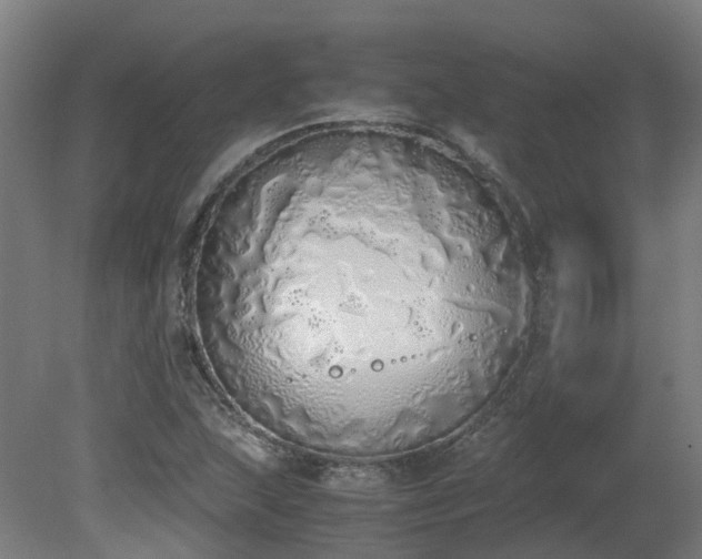 X0000081271215200701181708