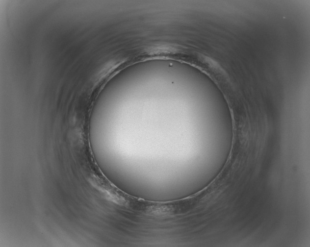 X0000081271217200701181708