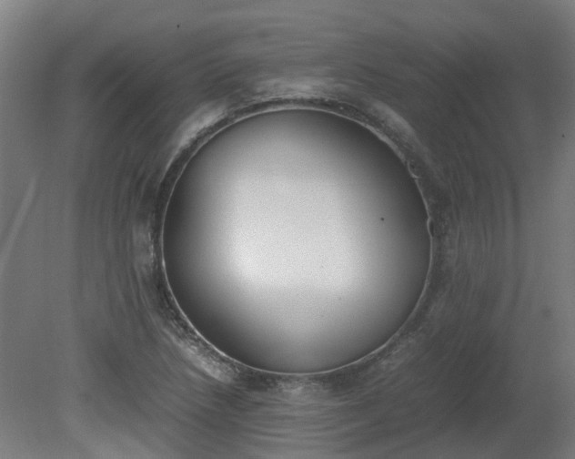 X0000081271218200701181708