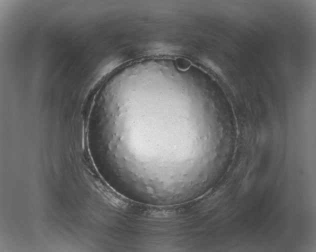 X0000081271219200701181708