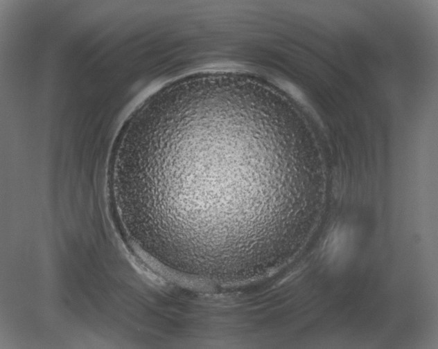 X0000081271229200701181708