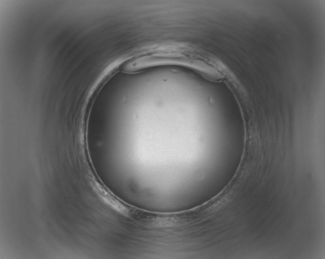 X0000081271232200701181708