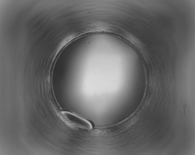 X0000081271234200701181708