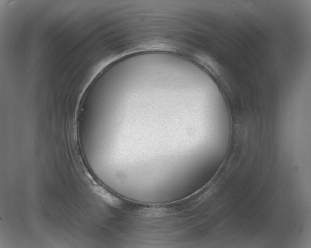 X0000081271236200701181708