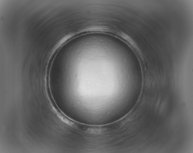 X0000081271237200701181708