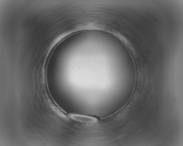 X0000081271238200701181708