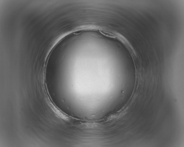X0000081271244200701181708