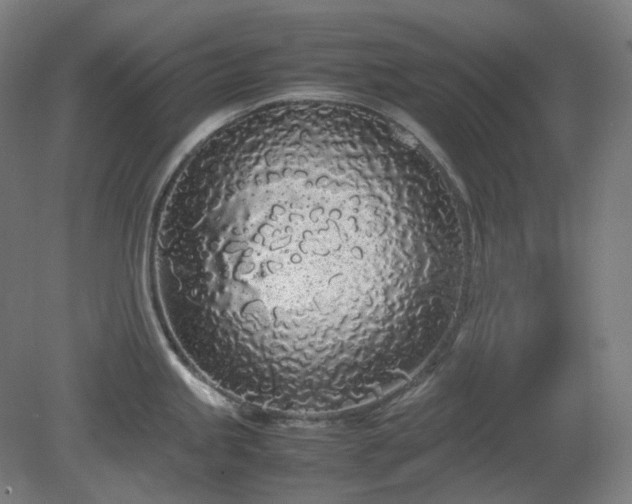 X0000081271245200701181708