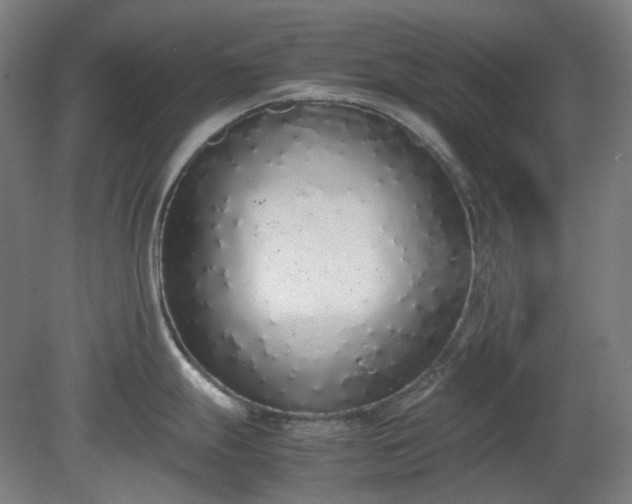X0000081271247200701181709