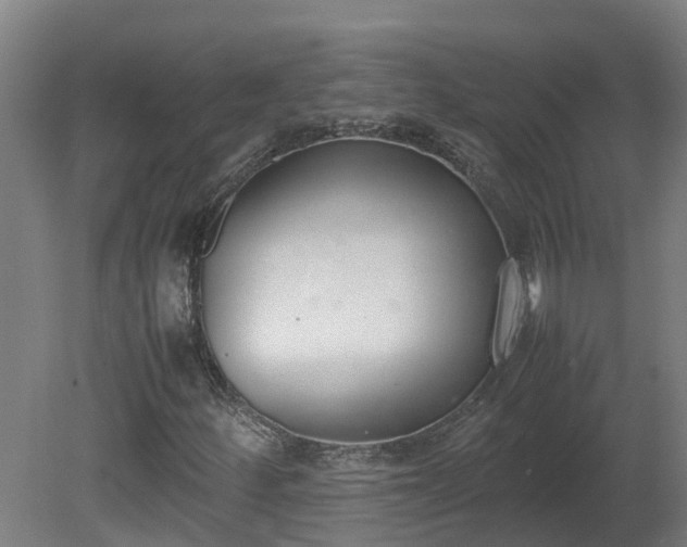 X0000081271252200701181708