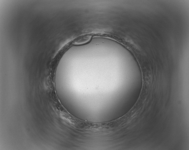 X0000081271256200701181708