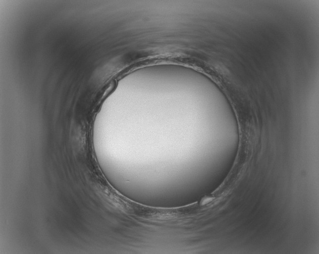 X0000081271257200701181708