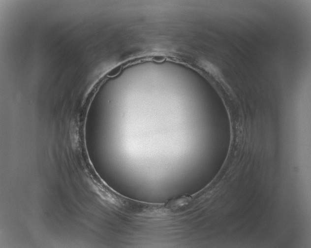 X0000081271260200701181708