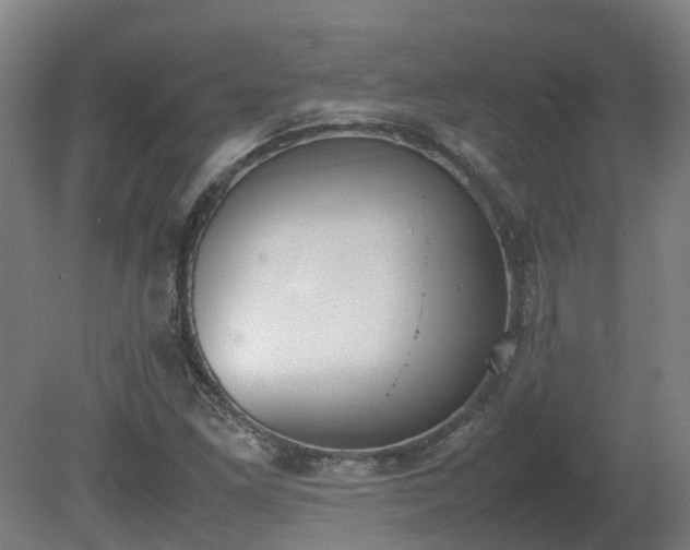 X0000081271261200701181708