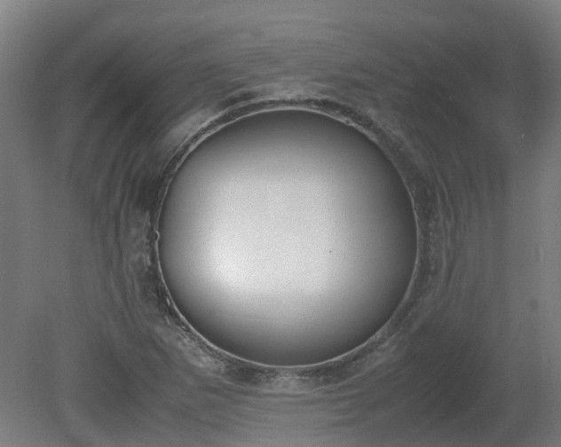 X0000081271265200701181707