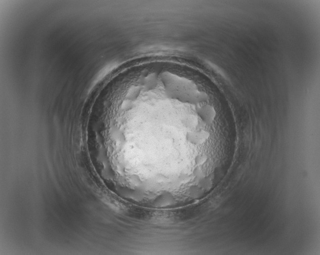 X0000081271267200701181707