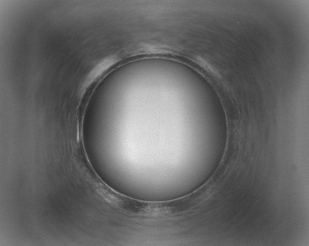X0000081271269200701181707
