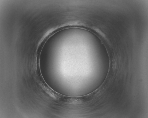 X0000081271270200701181707