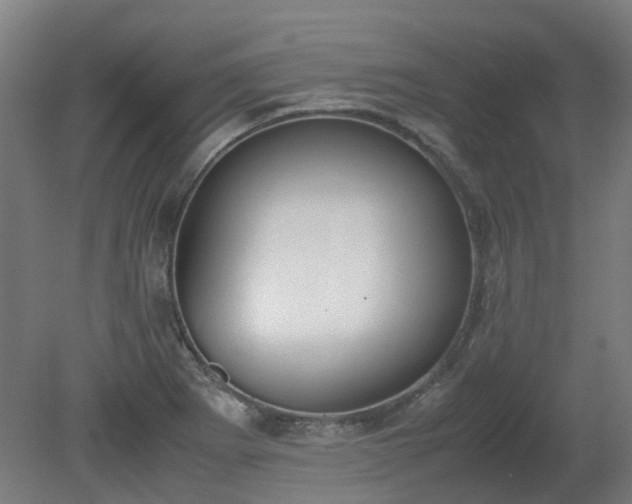 X0000081271273200701181707