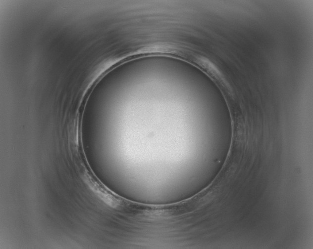 X0000081271276200701181707