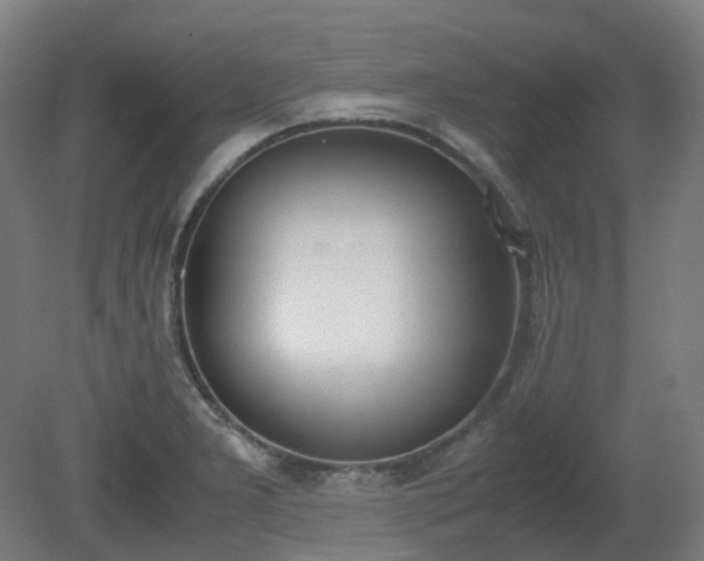 X0000081271277200701181707