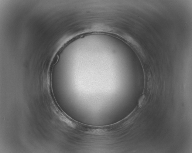 X0000081271280200701181707