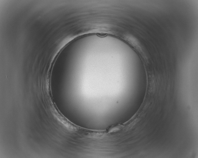 X0000081271284200701181707