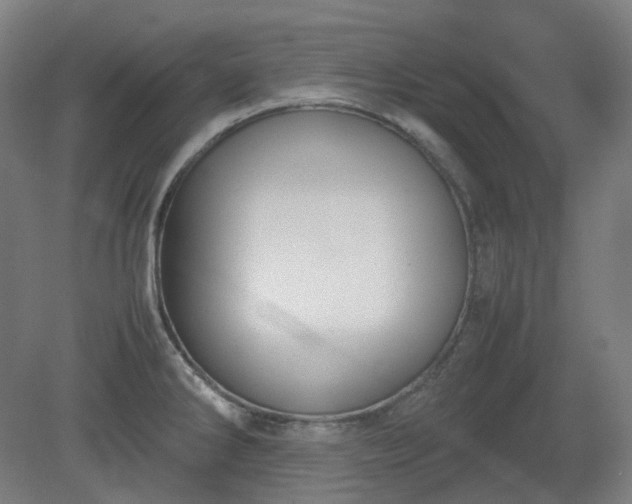 X0000081271286200701181707