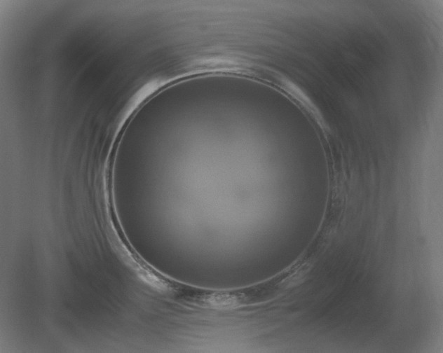 X0000081271291200701181707