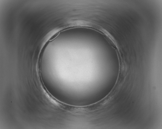 X0000081271293200701181707