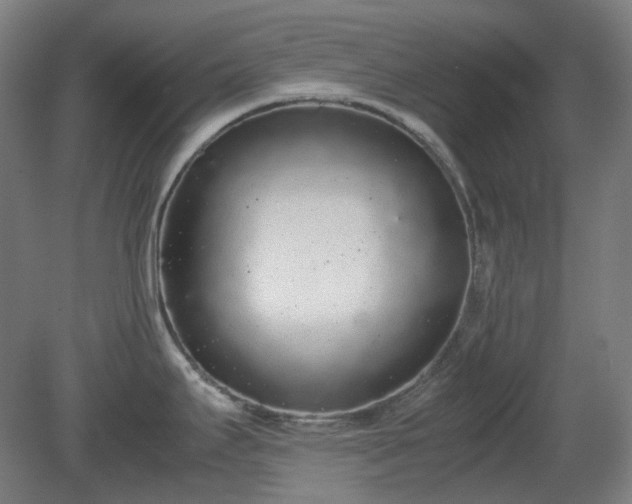 X0000081271295200701181707