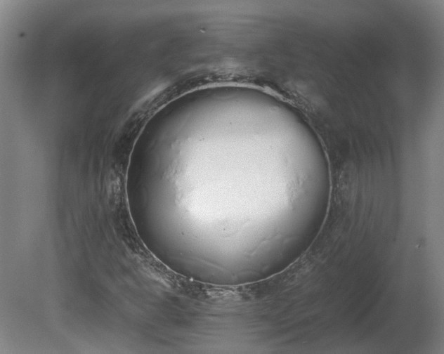 X0000081271302200701181706