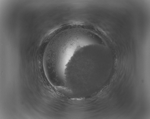 X0000081271303200701181706