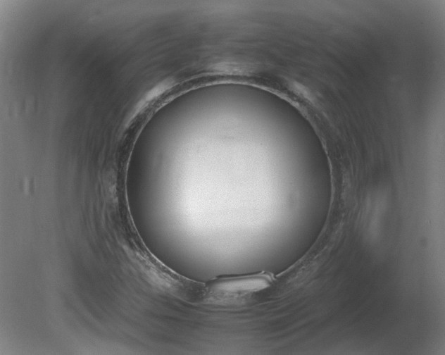 X0000081271307200701181706