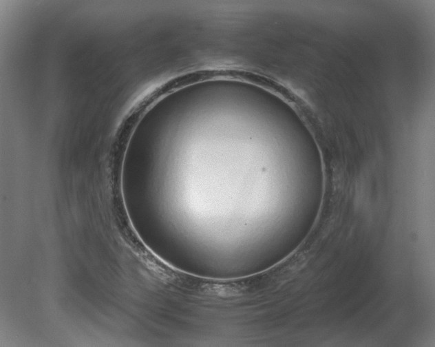 X0000081271311200701181706