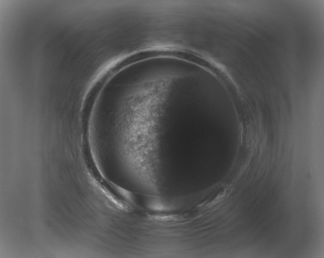 X0000081271319200701181706