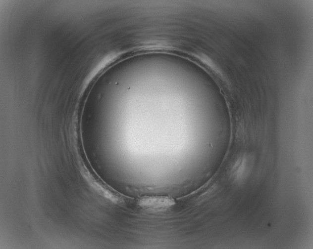 X0000081271325200701181707