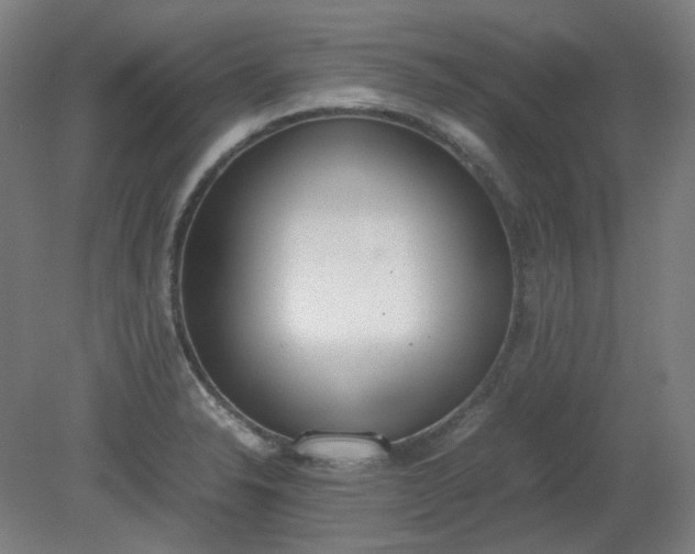 X0000081271326200701181707